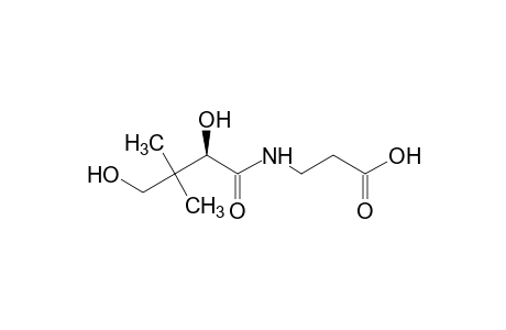 Pantothenate