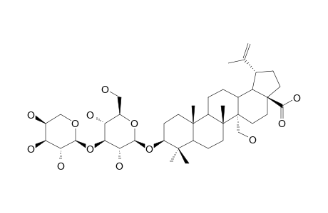 3-BETA-O-[ALPHA-L-ARABINOPYRANOSYL-(1->3)-BETA-D-GLUCOPYRANOSYL-(1->)]-CYLICODISCIC-ACID