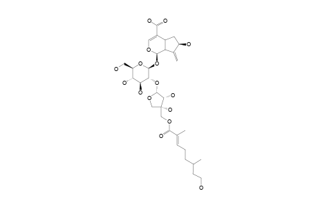 INERMINOSIDE-C;2'-O-[5''-O-(8-HYDROXY-2,6-DIMETHYL-2-(E)-OCTENOYL)-BETA-D-APOIFURANOSYL]-GARDOSIDE