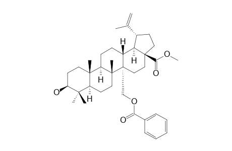 3-BETA-HYDROXY-27-BENZOYLOXY-LUP-20(29)-EN-28-OIC-ACID-METHYLESTER