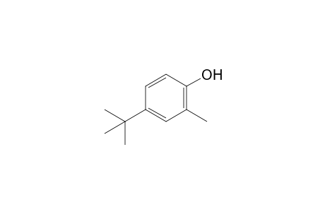 o-Cresol, 4-tert-butyl-