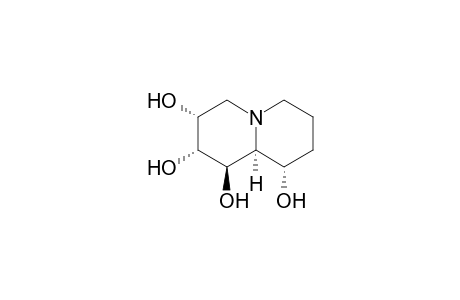 (1R,2R,3R,9S,9aS)-2,3,4,6,7,8,9,9a-octahydro-1H-quinolizine-1,2,3,9-tetrol