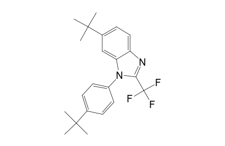 6-tert-butyl-1-(4-tert-butylphenyl)-2-(trifluoromethyl)benzimidazole