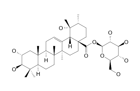 TORMENTIC-ACID-BETA-D-GLUCOPYRANOSYLESTER