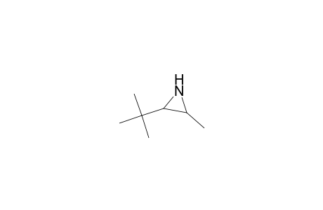 Aziridine, 2-(1,1-dimethylethyl)-3-methyl-, trans-