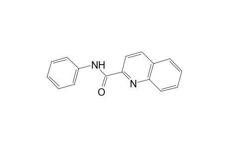 Quinaldanilide