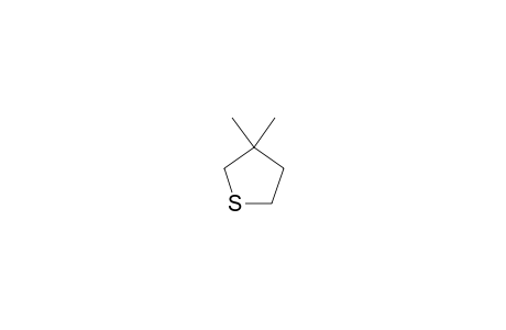 3,3-DIMETHYLTHIOLAN