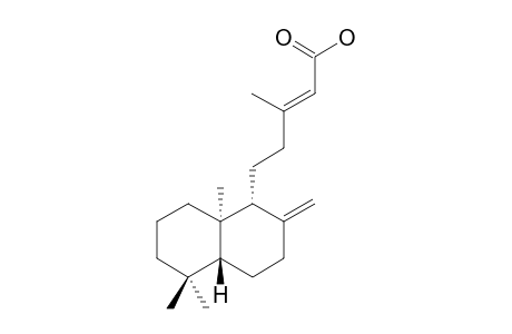 COPALIC_ACID;5-(2-METHYLENE-5,5,8A-TRIMEHYL-(1-R,4A-R,8A-R)-DECAHYDRONAPHTHALEN-1-YL)-3-METHYLPENT-2-E-ENOIC_ACID