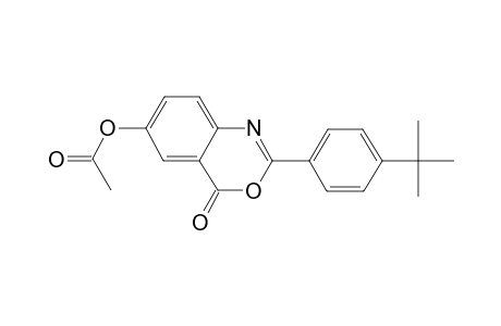 2-(4-tert-Butylphenyl)-4-oxo-4H-3,1-benzoxazin-6-yl acetate