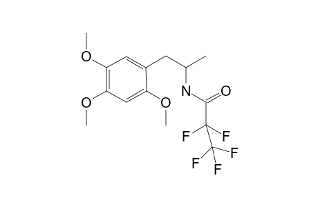 TMA-2 PFP