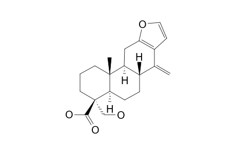 CORDYLANE_D;CASSA-12,14-(17),15-TRIEN-19-ALPHA-HYDROXY-18-BETA-OIC_ACID