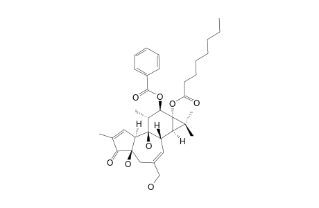 12-O-BENZOYLPHORBOL_12-OCTANOATE