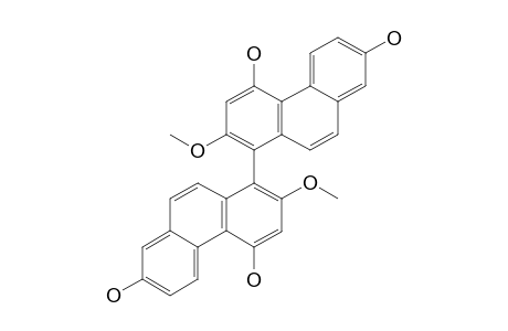 MONBARBATAIN_A