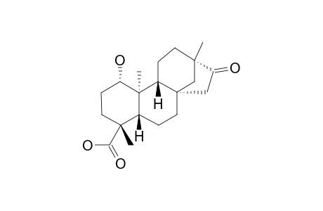 ENT-1-BETA-HYDROXY-16-OXOBEYERAN-19-OIC_ACID