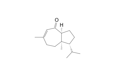 HORTONONE_A