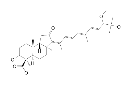 GLOBOSTELLATIC_ACID_G