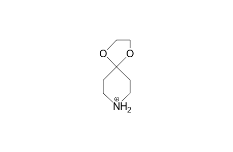 4,4-Ethylenedioxy-piperidine cation