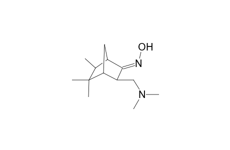 (NE)-N-[3-(dimethylaminomethyl)-5,5,6-trimethyl-2-bicyclo[2.2.1]heptanylidene]hydroxylamine