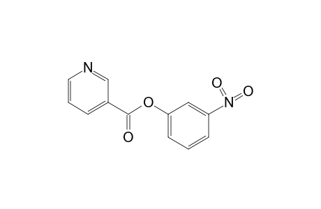 NICOTINIC ACID, M-NITROPHENYL ESTER