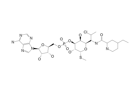 PIRLIMYCIN-3-(5'-ADENYLATE)