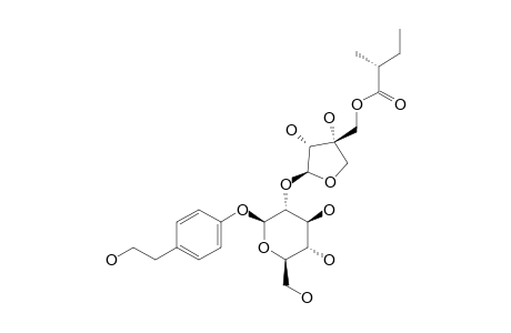 CUCURBITOSIDE_F;4-(2-HYDROXYETHYL)-PHENYL_5-O-(2-S-2-METHYLBUTYRYL)-BETA-D-APIOFURANOSYL-(1->2)-BETA-D-GLUCOPYRANOSIDE