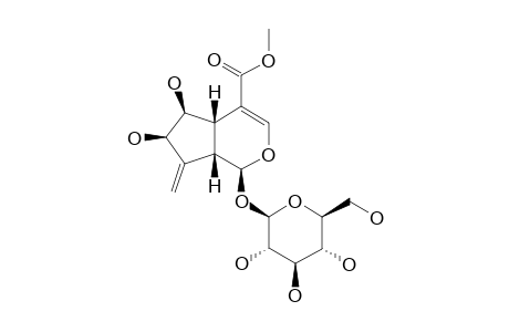 ZALUZIOSIDE