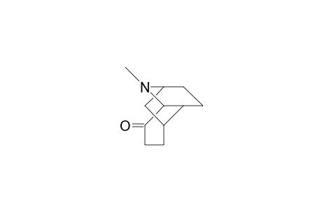 2-Aza-2-methyl-tricyclo(5.3.1.0/3,8/)undecan-4-one