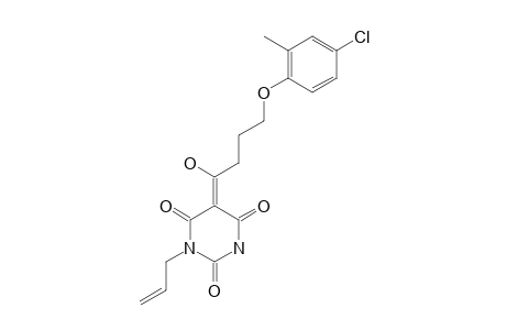 EXO-ENOL-TAUTOMER-1