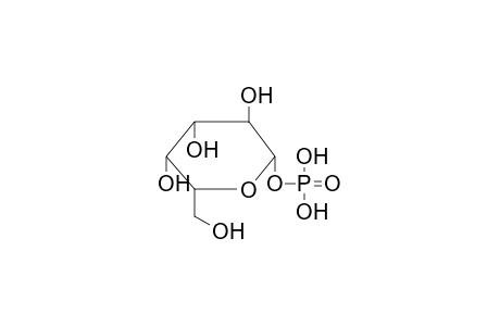 BETA-D-GALACTOPYRANOSYLPHOSPHORIC ACID