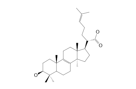 TRAMETENOLIC-ACID-B;3-BETA-HYDROXYLANOSTA-8,24-DIEN-21-OIC-ACID