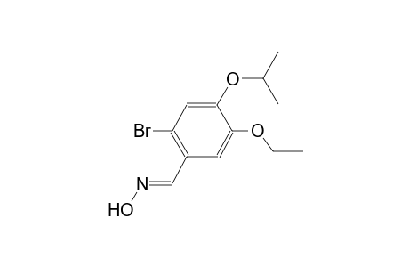 2-bromo-5-ethoxy-4-isopropoxybenzaldehyde oxime