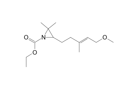 3-[(E)-5-methoxy-3-methyl-pent-3-enyl]-2,2-dimethyl-ethylenimine-1-carboxylic acid ethyl ester