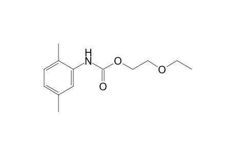 2,5-dimethylcarbanilic acid, 2-ethoxyethyl ester