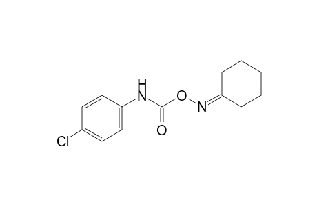 cyclohexanone, O-[(p-chlorophenyl)carbanoyl]oxime