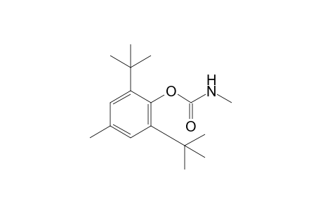 Terbutol