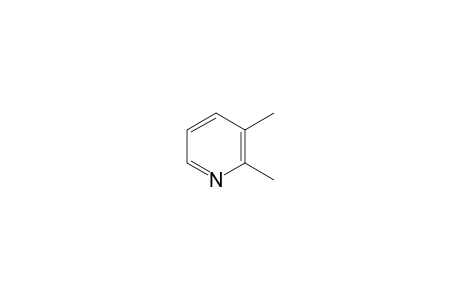 2,3-Lutidine