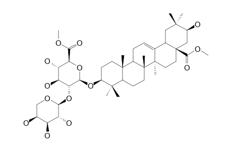 3-O-BETA-[ARABINOPYRANOSYL-(1->2)-(6-O-METHYL)-GLUCURONOPYRANOSYL]-MACHAERINIC-ACID-28-O-METHYLESTER