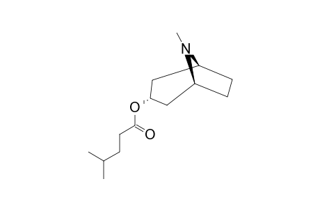 3-ALPHA-(4-METHYLVALERYLOXY)-TROPANE