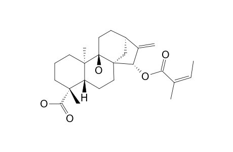 ENT-15-BETA-ANGELOYLOXY-9-ALPHA-HYDROXY-KAUR-16-EN-19-OIC-ACID