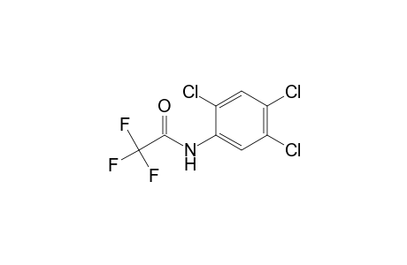 2,2,2-trifluoro-N-(2,4,5-trichlorophenyl)acetamide