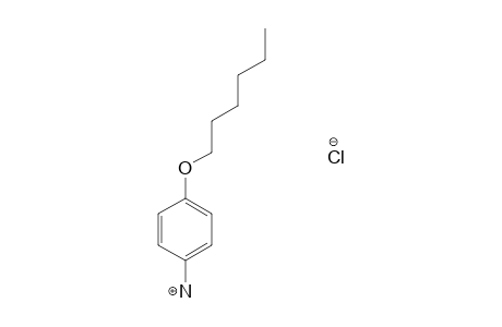 p-(HEXYLOXY)ANILINE, HYDROCHLORIDE