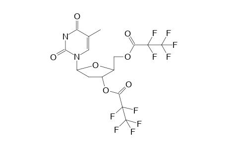 Telbivudine 2PFP