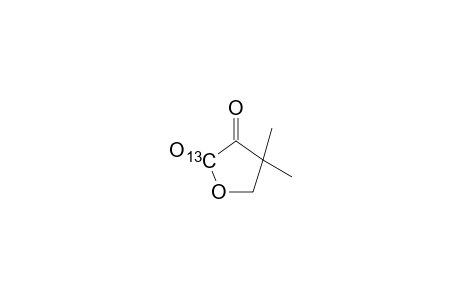 4,4-Dimethyldihydrofuran-2,3-dione