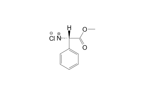 METHYL-PHENYLGLYCINE-HYDROCHLORIDE