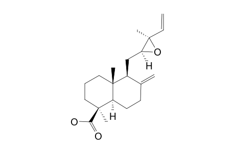 FOKIHODGIN_G;(12-S,13-R)-12,13-EPOXYLABDA-8-(17),14-DIEN-19-OIC_ACID