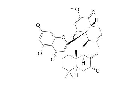 DICHROSTACHINE_M