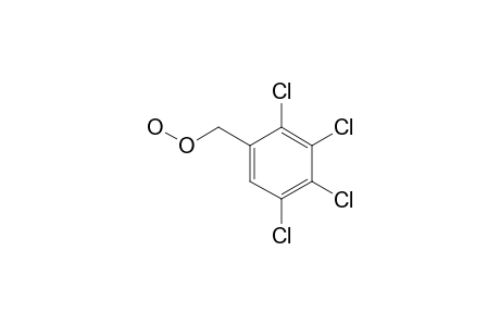 2,3,4,5-TETRACHLOROBENZYL-HYDROPEROXIDE