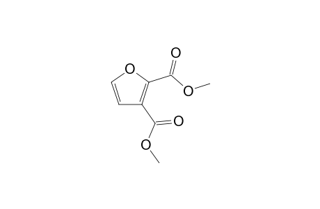 dimethyl furan-2,3-dicarboxylate