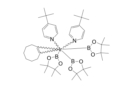 (DTBPY)IR(COE)(BPIN)3