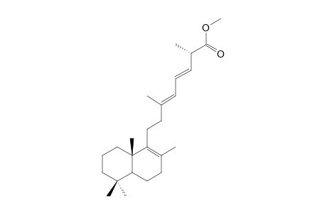 NORSESTERPENE-DIENE-ESTER